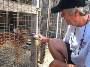 Uncle Bob trying to get Bambi drunk...see the trend??