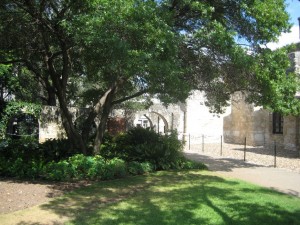 inside the fort is a big garden area