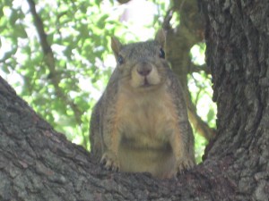 img_0721