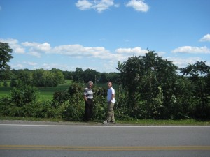 The hops bush across the street