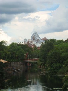 everest rollercoaster in Animal Kingdom