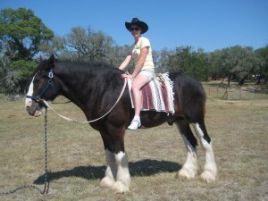 blazing saddles