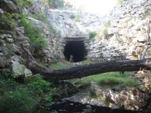 the bat cave